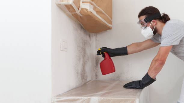Professional Mold Removal technician working in Greenbush, VA
