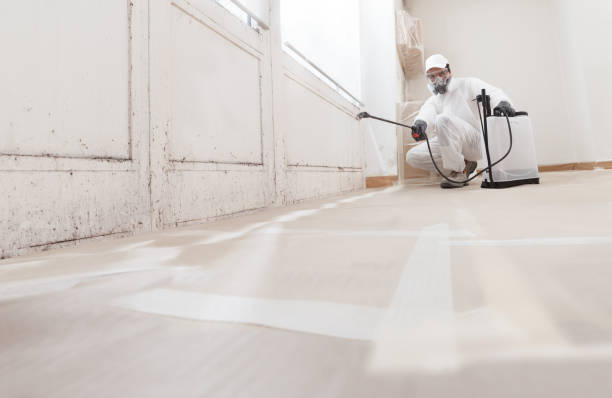 24/7 Emergency Mold Removal experts in Greenbush, VA